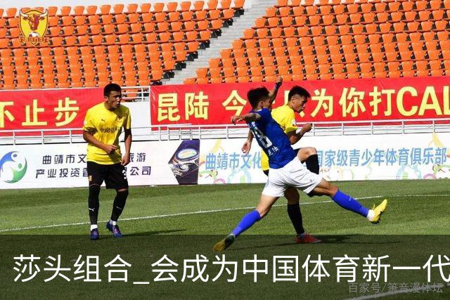 莎头组合 会成为中国体育新一代吸金王吗